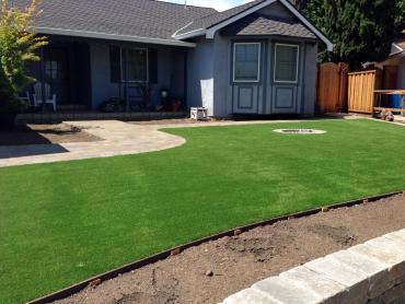Artificial Grass Photos: Synthetic Pet Grass Chino Hills California Back and Front Yard